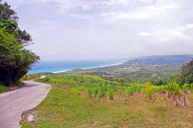 Mount Hillaby Barbados