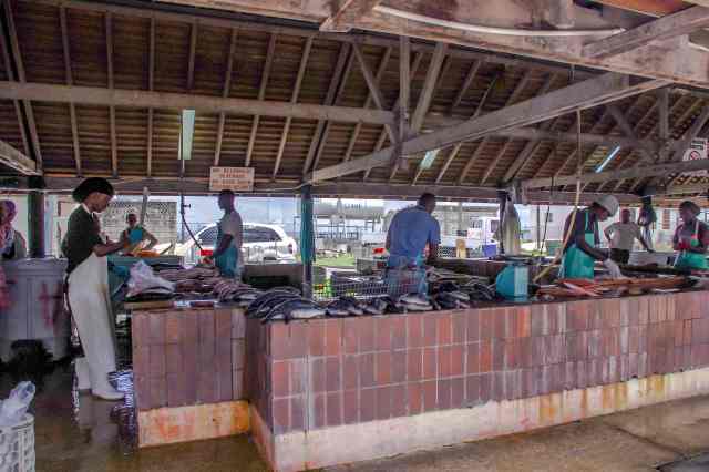 Mecato del pesce Barbados